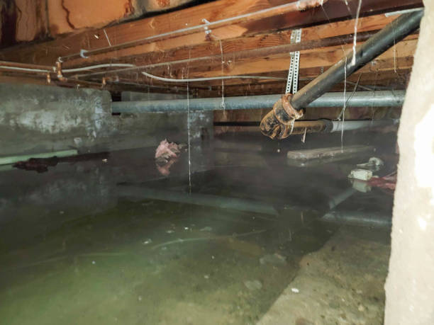 Best 24-hour water damage restoration  in Okauchee Lake, WI