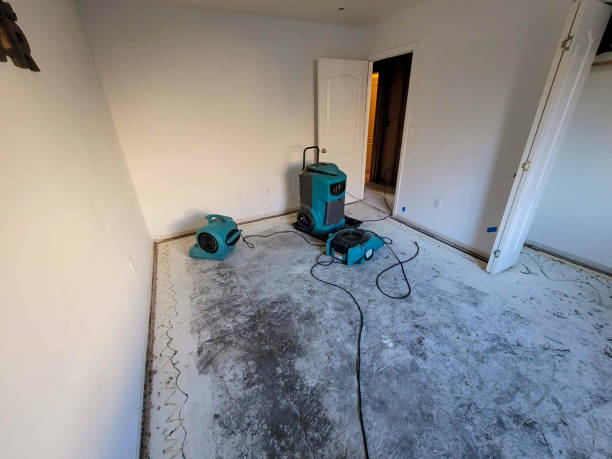 Best Professional water damage repair  in Okauchee Lake, WI