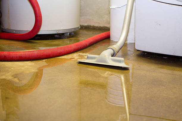 Best Water damage cleanup near me  in Okauchee Lake, WI