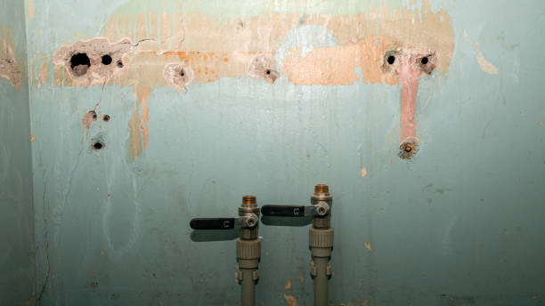 Best Water damage restoration near me  in Okauchee Lake, WI